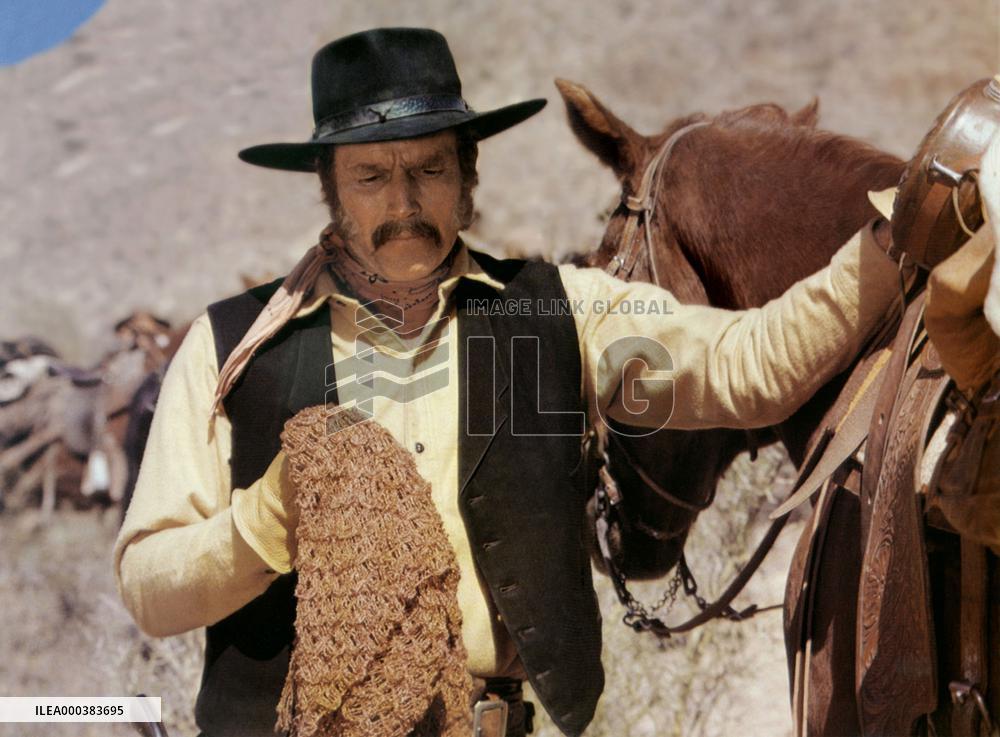 The Last Hard Men (1976)