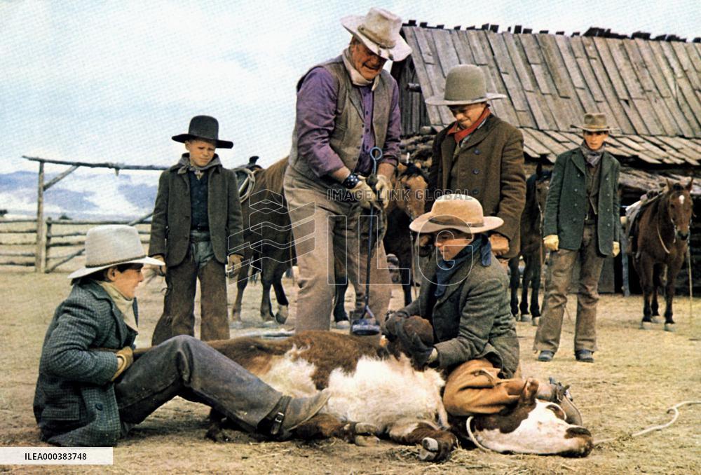 The Cowboys (1972)