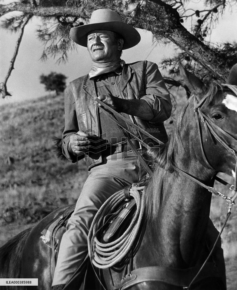Chisum (1970)