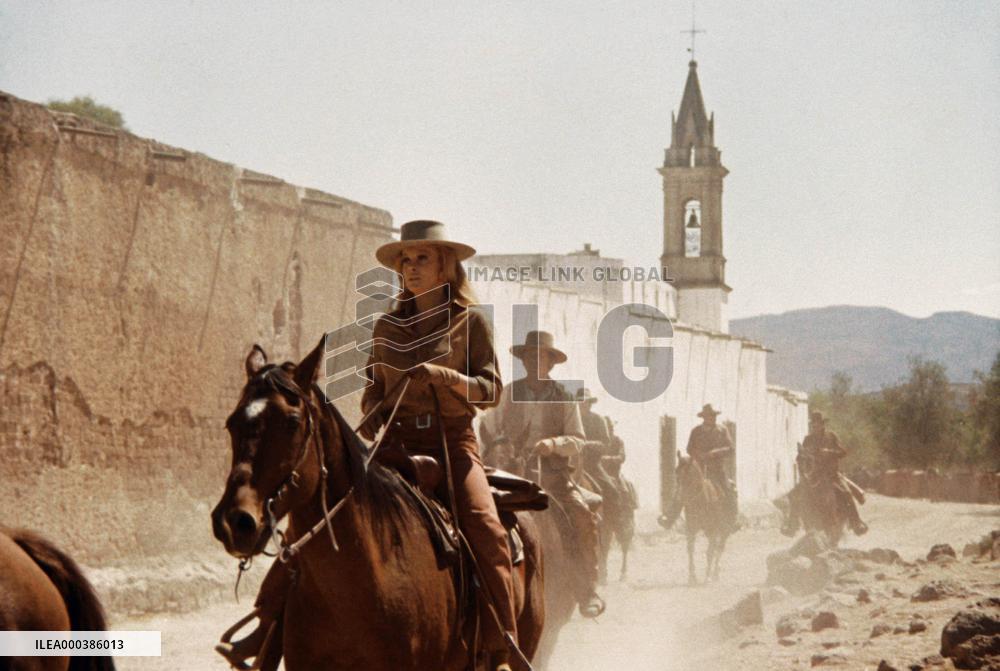 The Train Robbers (1973)