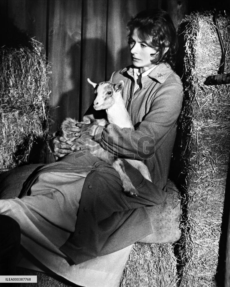 A Walk In The Spring Rain (1970)