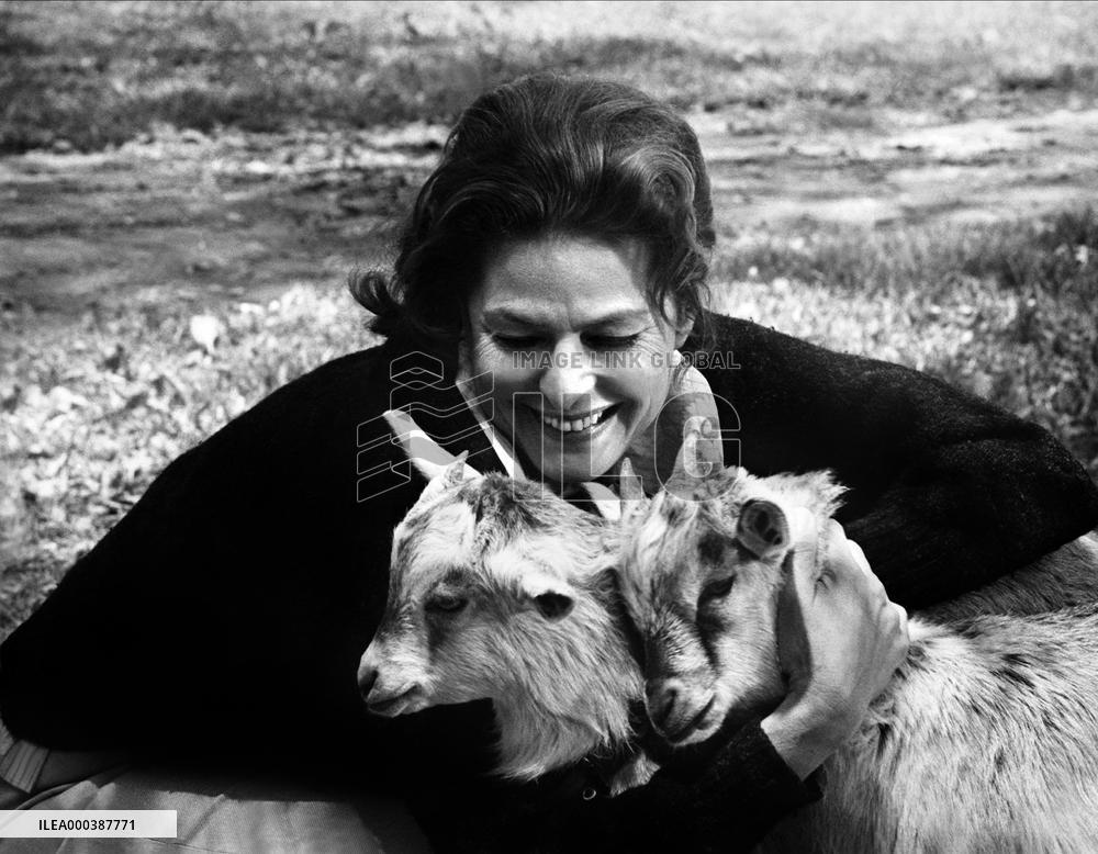 A Walk In The Spring Rain (1970)