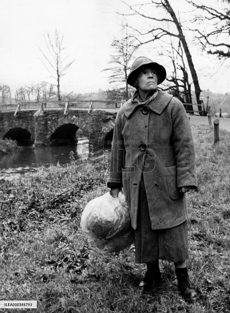 Edna The Inebriate Woman (1971)