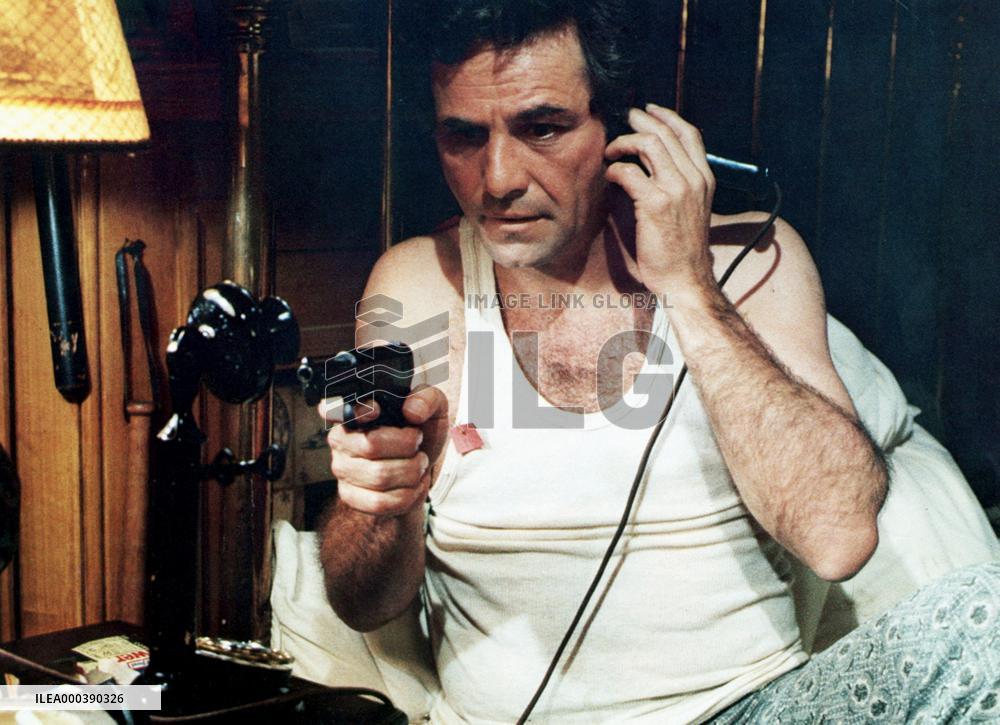 The Cheap Detective (1978)
