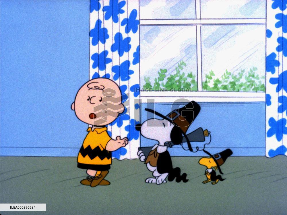 A Charlie Brown Thanksgiving (1973)