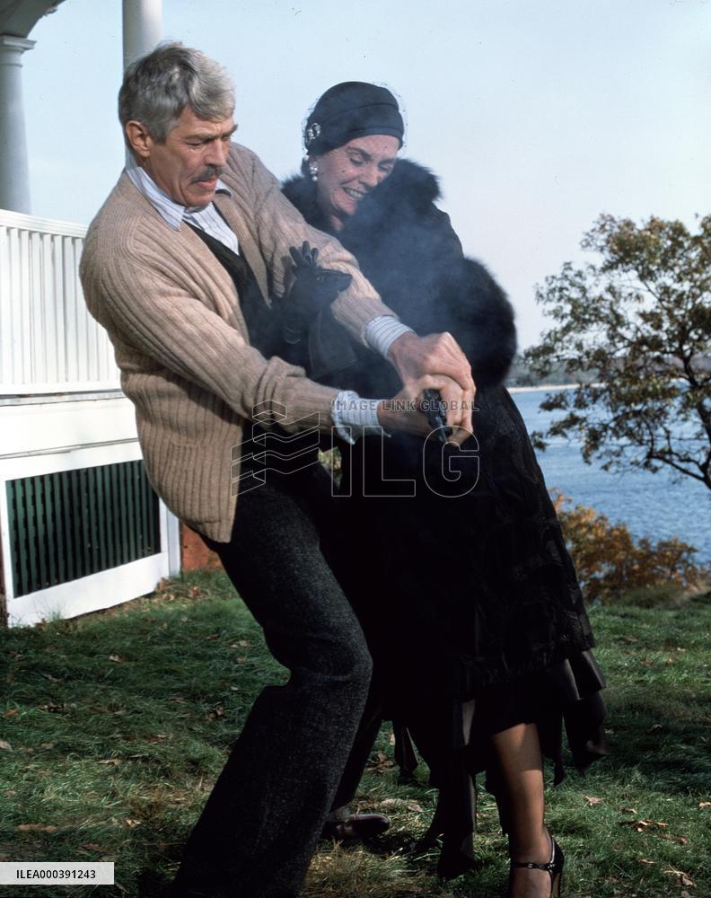 The Dain Curse (1978)