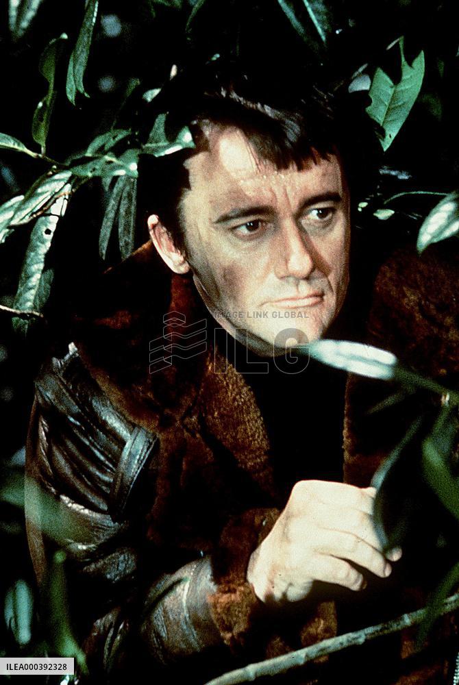 The Protectors (1972)