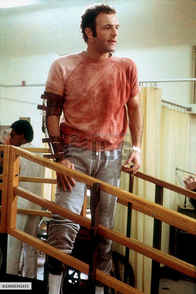 The Killer Elite (1975)