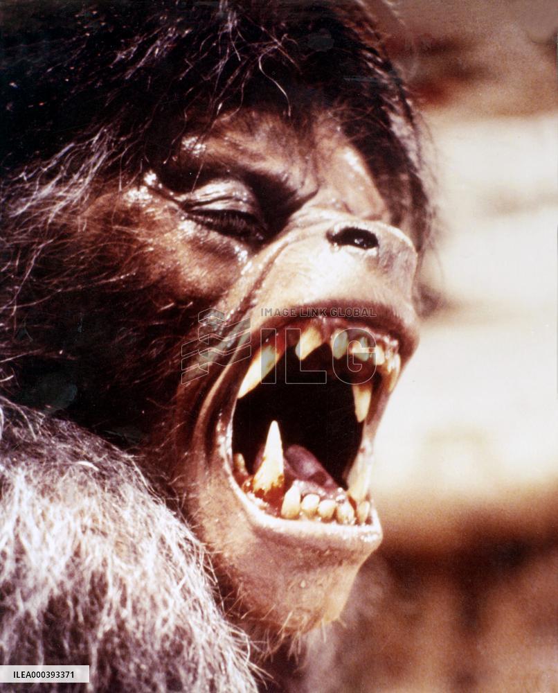 An American Werewolf In London (1981)