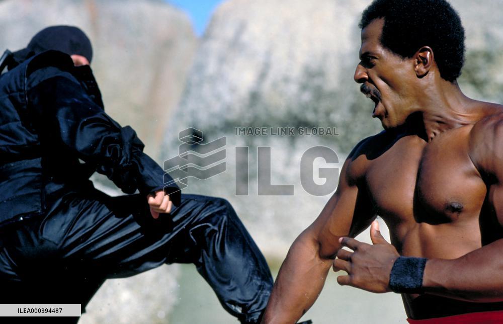American Ninja 2: The Confront (1987)