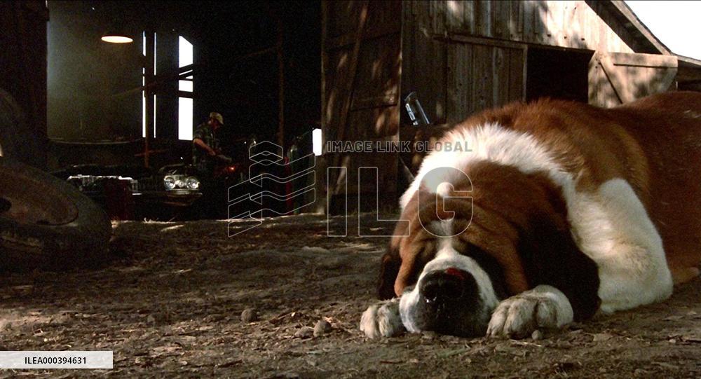 Cujo (1983)
