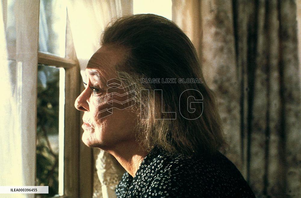 The Watcher In The Woods (1980)