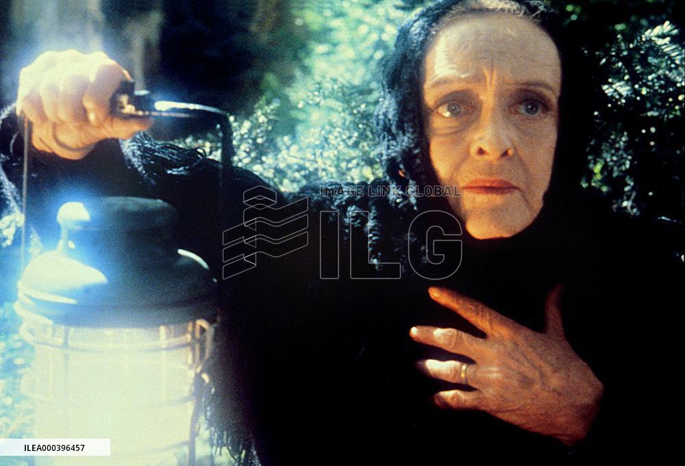 The Watcher In The Woods (1980)