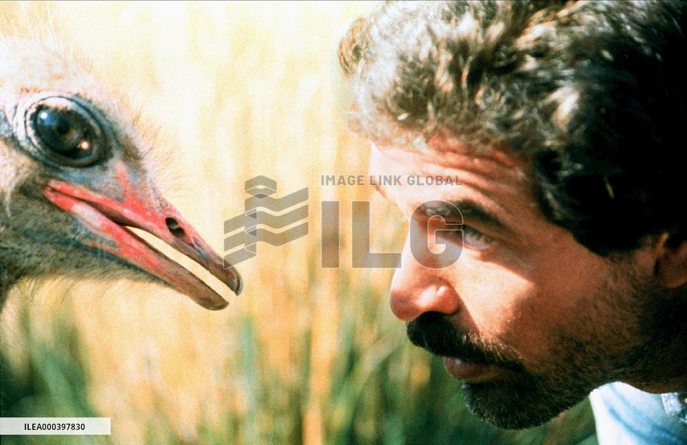 The Gods Must Be Crazy Ii (1989)