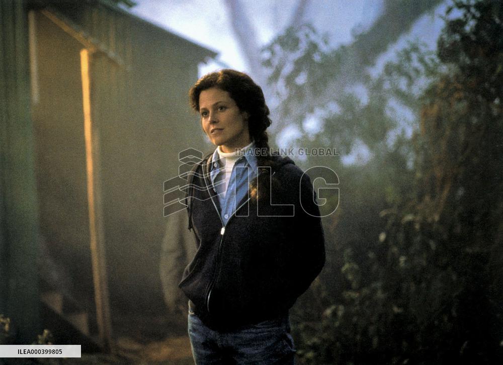 Gorillas In The Mist (1988)