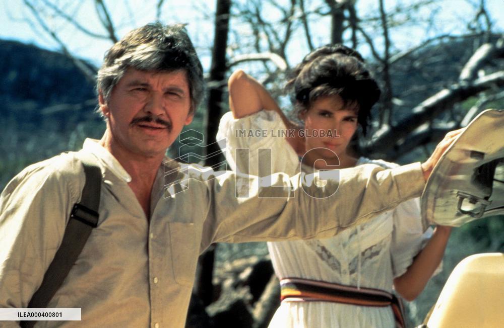 The Evil That Men Do (1984)