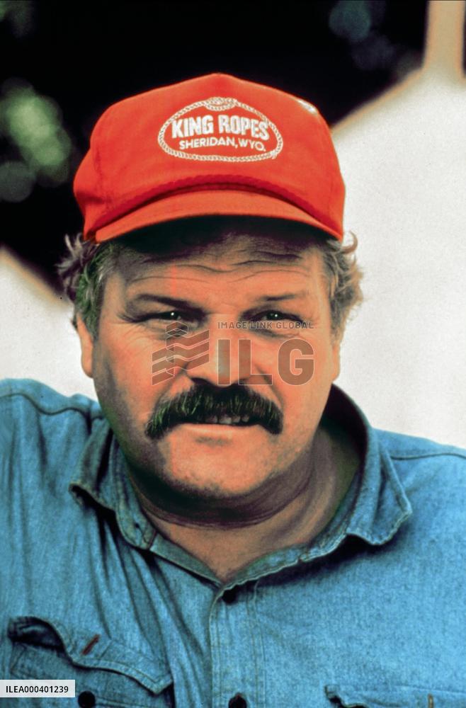 The Lion Africa (1988)