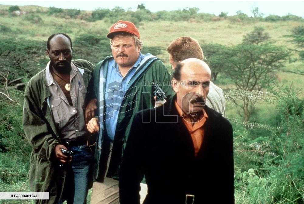 The Lion Africa (1988)