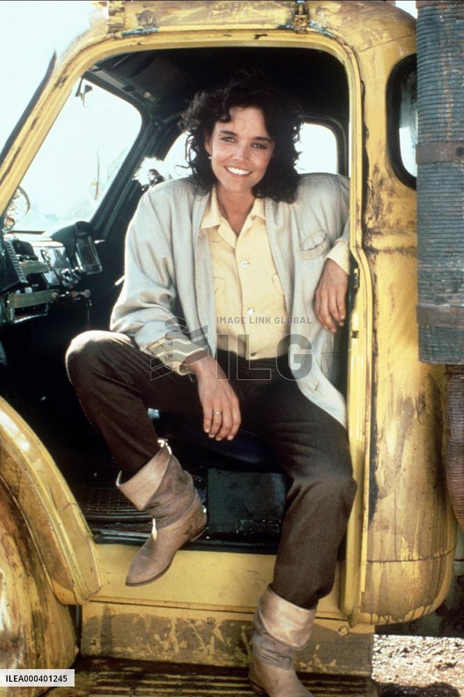 The Lion Africa (1988)