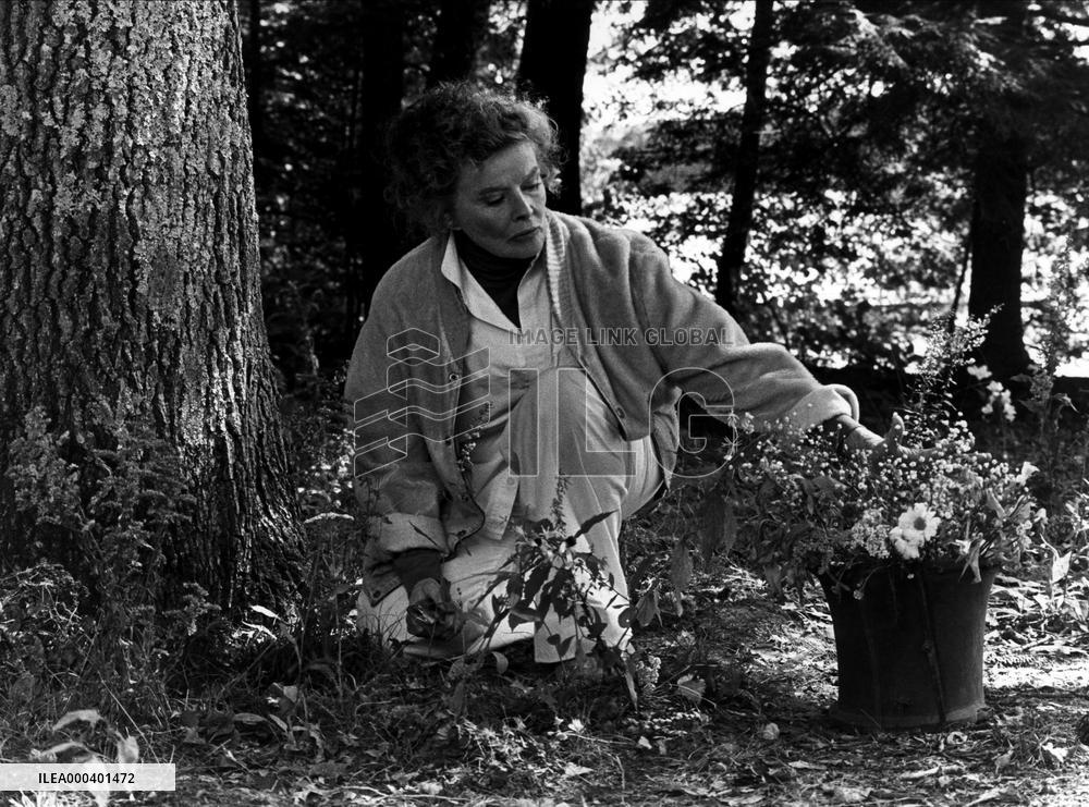 On Golden Pond (1981)