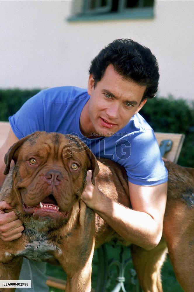 Turner & Hooch (1989)