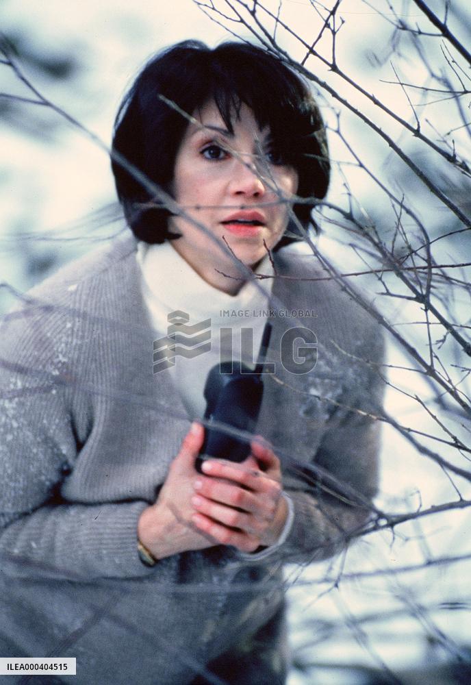 The Abduction (1996)