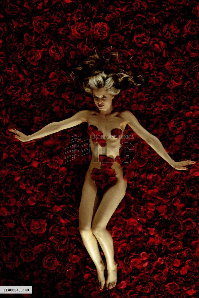 American Beauty (1999)