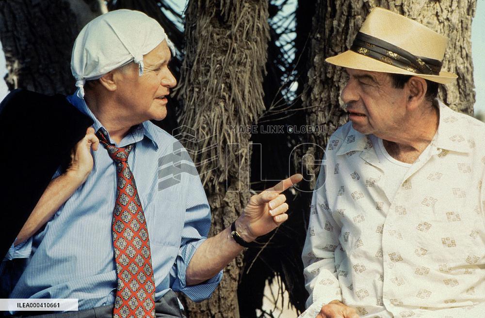 The Odd Couple Ii (1998)