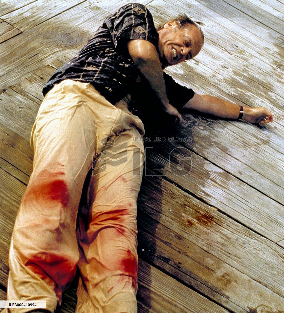 Blood And Wine (1996)