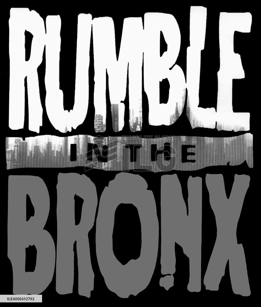 Rumble In The Bronx (1995)