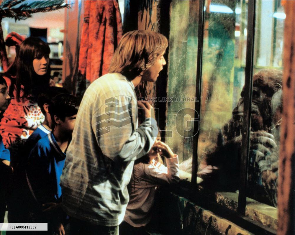 Born To Be Wild (1995)