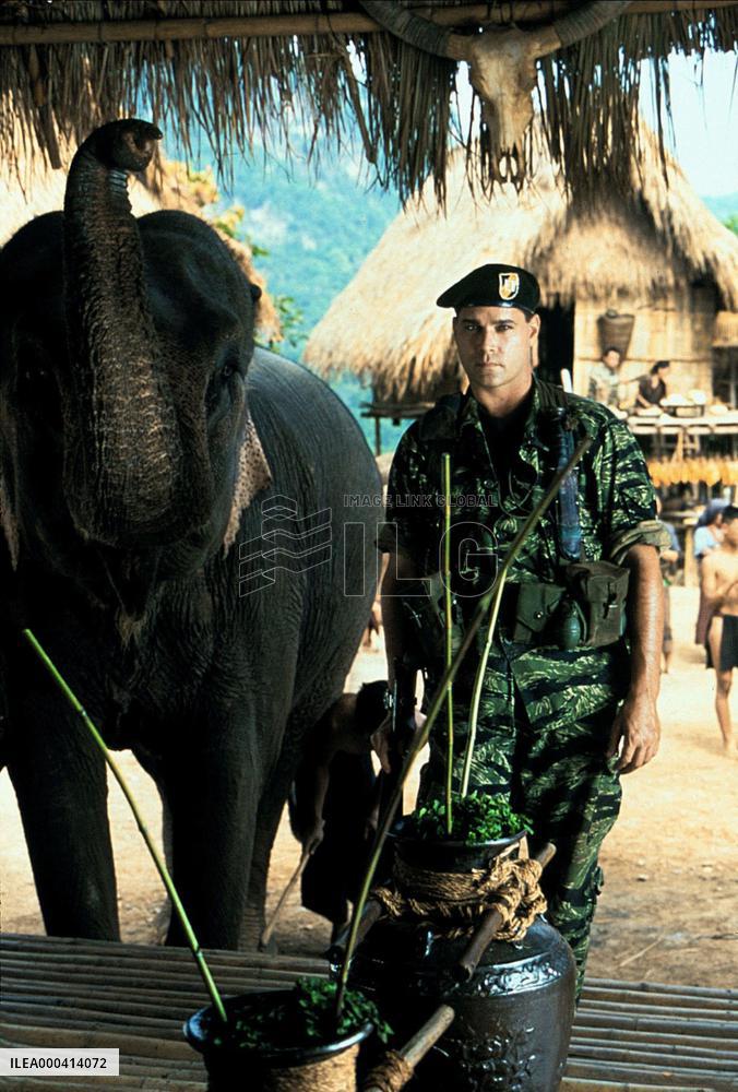 Operation Dumbo Drop (1995)