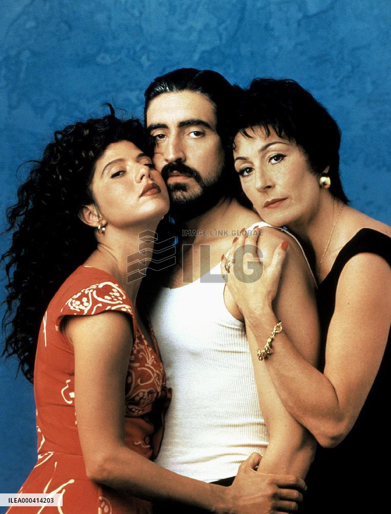 The Perez Family (1995)