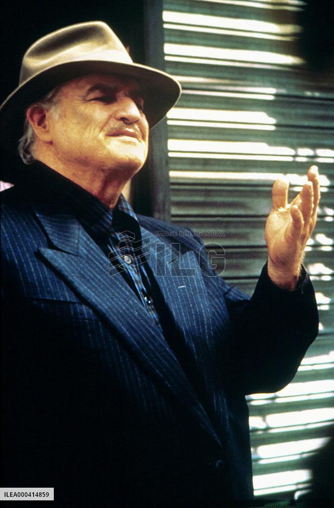 The Freshman (1990)