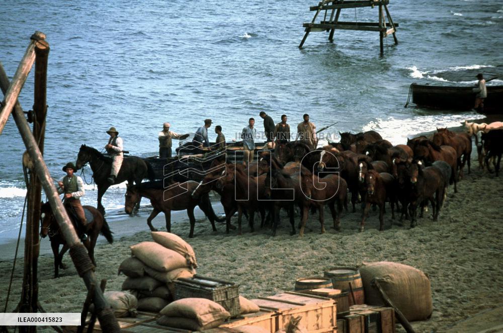 Running Free (1999)