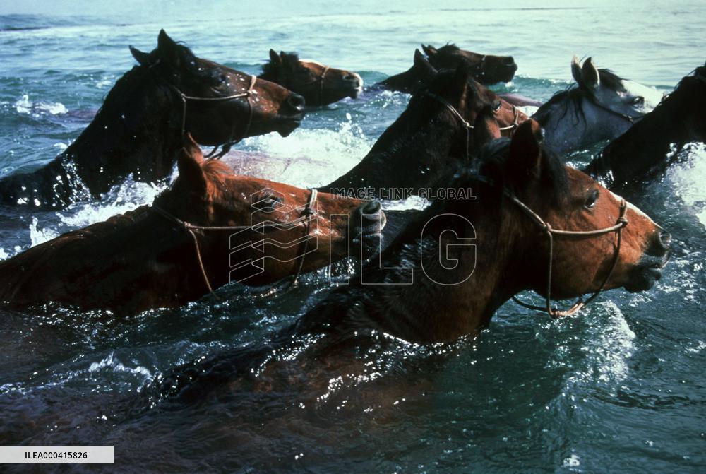Running Free (1999)