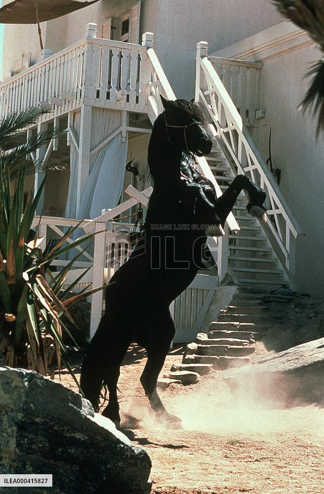 Running Free (1999)