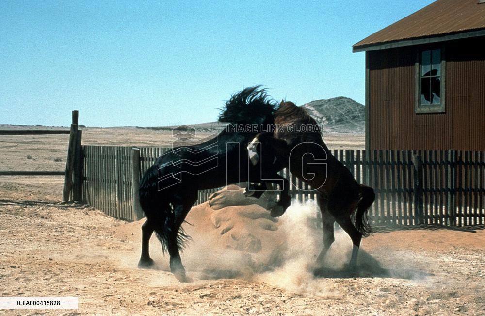 Running Free (1999)