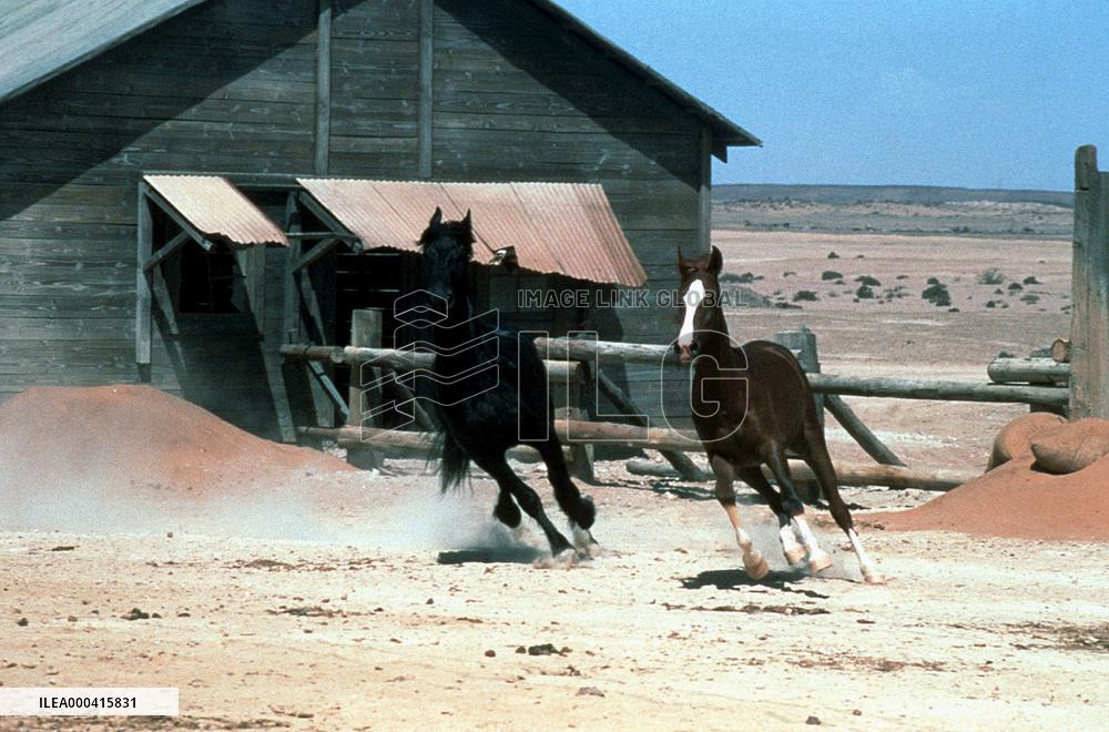 Running Free (1999)