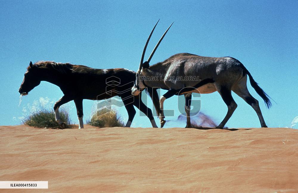 Running Free (1999)