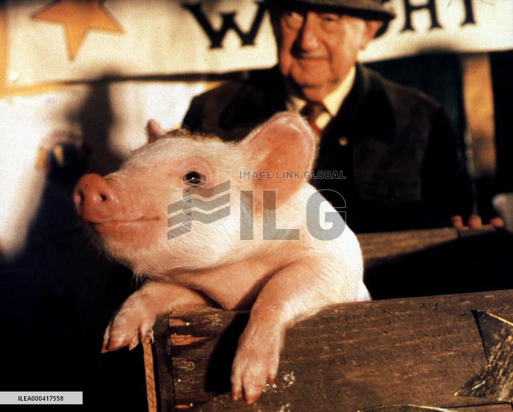 Babe (1995)