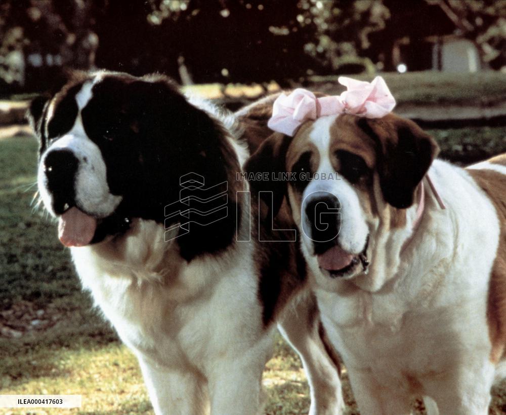 Beethoven'S 2nd (1993)