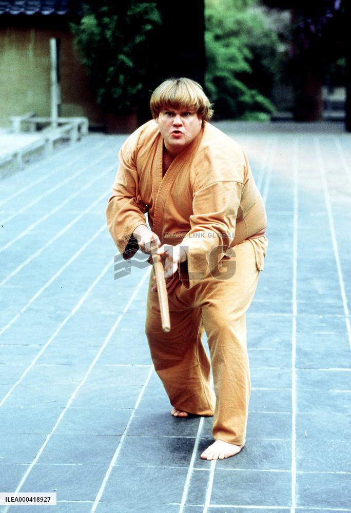 Beverly Hills Ninja (1997)