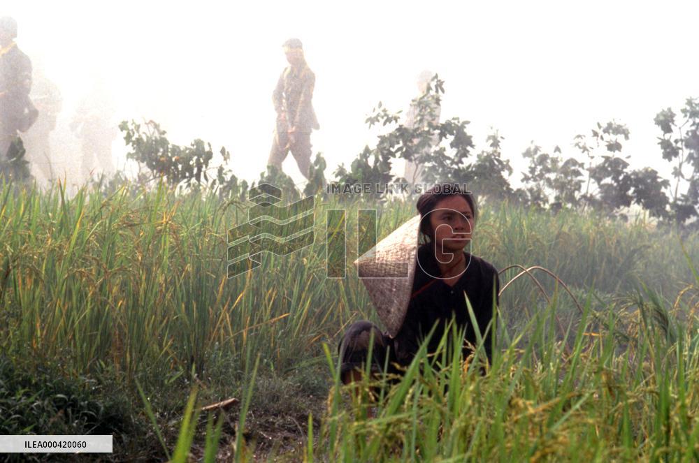 Heaven & Earth (1993)