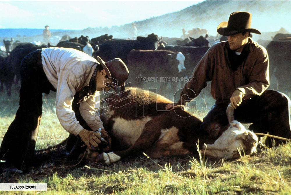 The Hi-Lo Country (1998)