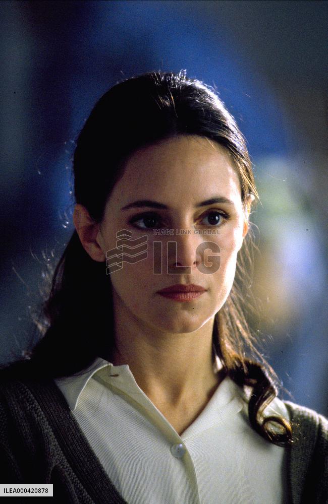 Twelve Monkeys; 12 Monkeys (1995)