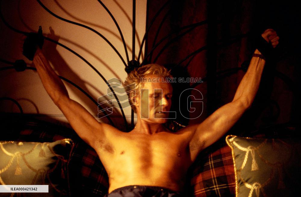 Poison Ivy: The New Seduction (1997)