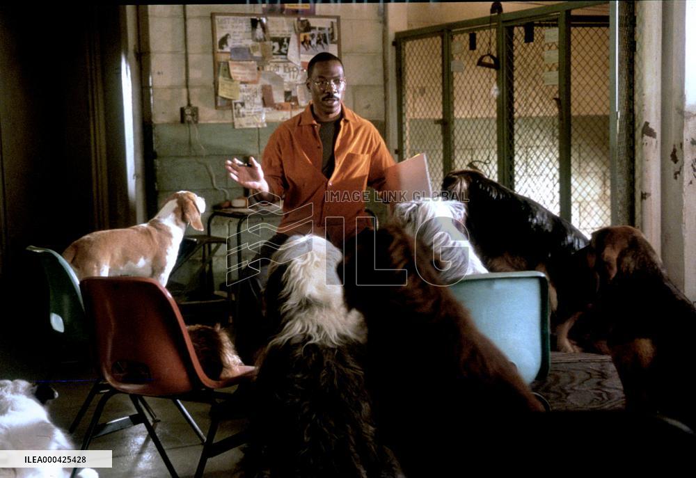 Dr. Dolittle 2 (2001)
