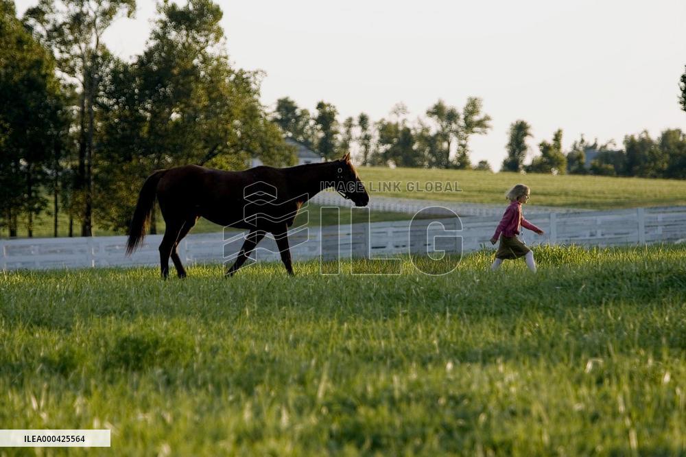 Dreamer:Inspired By True Story (2005)