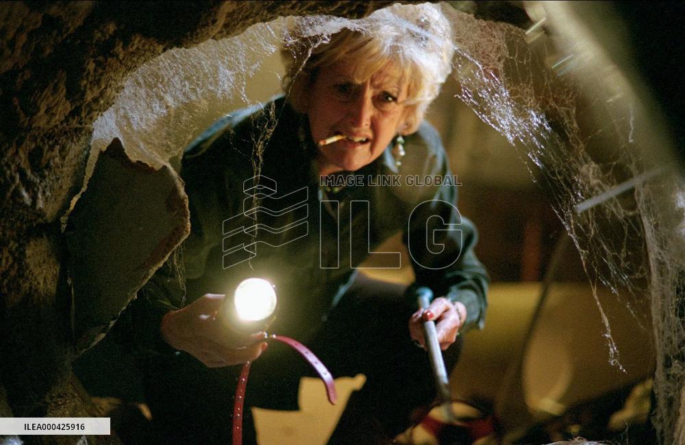 Eight Legged Freaks (2002)